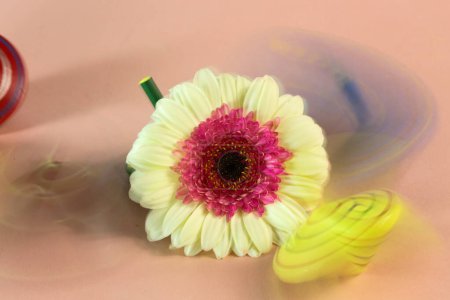 spinning top with gerbera in the middle, children's top,