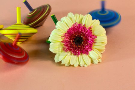 spinning top with gerbera in the middle, children's top,
