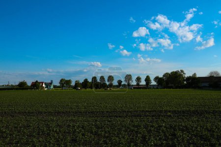 Feldmoching in Bayern, blauer Himmel