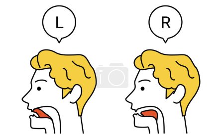 Illustration for Illustration of tongue movement for English conversation, l and r pronunciations, Vector Illustration - Royalty Free Image