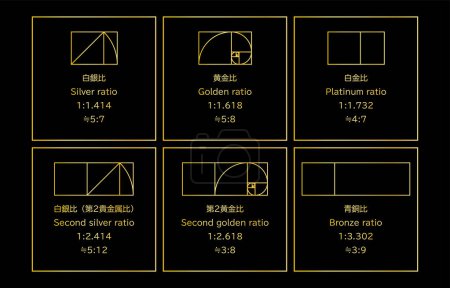 Set of precious metal ratios used in design, silver ratio, gold ratio, platinum ratio, bronze ratio, Vector Illustration