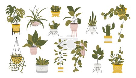 Illustration for Collection of decorative houseplants isolated on white background. Bundle of trendy plants growing in pots or planters. Set of beautiful natural home decorations. Flat colorful vector illustration. - Royalty Free Image