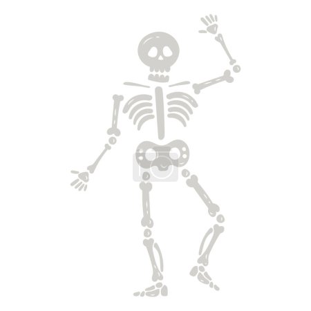 Lustige tanzende Zeichentrickskelett-Illustration. Handgezeichnetes flaches Halloween-Skelett. Gruseliges Skelett zu Halloween für Kinderparty. Vektoraktiendarstellung auf isoliertem weißen Hintergrund.
