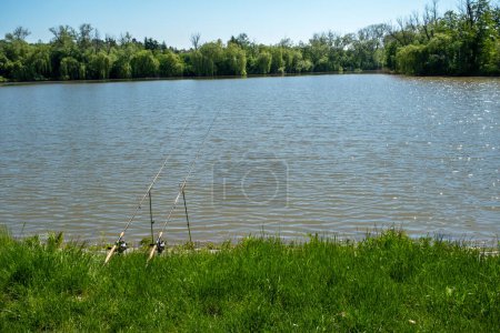 Foto de Cañas de pescar en la orilla del estanque, el paisaje alrededor del estanque - Imagen libre de derechos