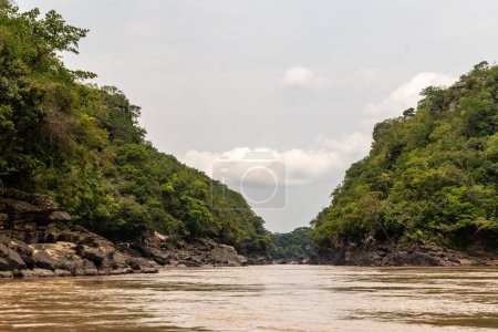 Foto de Rocas, río amazónico, barcos y selva en la zona de amazonas colombianas, imagen nublada y verde - Imagen libre de derechos