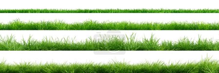 Téléchargez les photos : Collection of green grass borders, seamless horizontally, isolated on white background. 3D render. - en image libre de droit