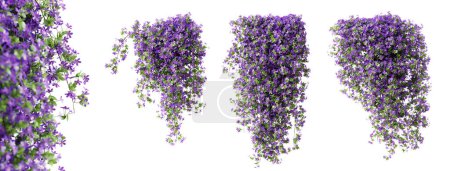 Téléchargez les photos : Ensemble de Phlox Paniculata plante rampante, isolé sur fond blanc. rendu 3D. - en image libre de droit