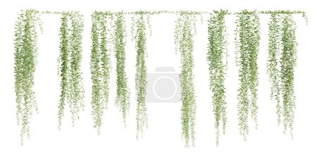 Set of Vernonia Elliptica creeper plant, isolated on white background. 3D render.