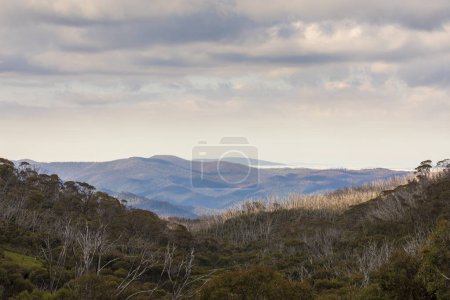 Photo for Photograph of Dead Horse Gap in the Snowy Mountains in New South Wales in Australia - Royalty Free Image