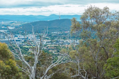 Foto de Fotografía de una gran torre de telecomunicaciones en una colina con vistas a edificios y casas en una zona urbana regional en Australia - Imagen libre de derechos