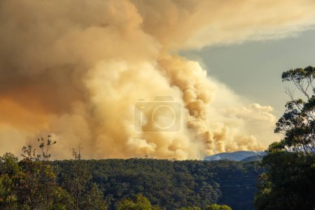 Fotografía de la reducción del riesgo de incendio controlado por el Servicio de Bomberos Rurales en las Montañas Azules en NSW, Australia.