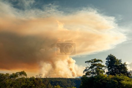 Fotografía de la reducción del riesgo de incendio controlado por el Servicio de Bomberos Rurales en las Montañas Azules en NSW, Australia.