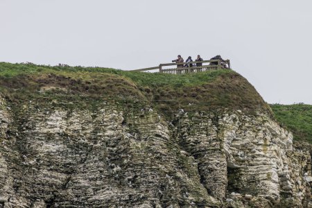 Téléchargez les photos : Personnes prenant des photos d'oiseaux sur les falaises de Bempton sur la côte du Yorkshire - en image libre de droit