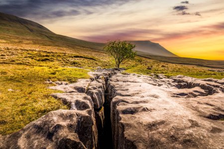 limestone pavement at sunset in the Yorkshire dales