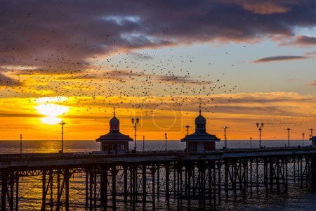 Blackpool at sunset with Starling murmuration at North pier.