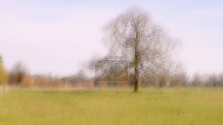 Foto de Un árbol con movimiento intencional de cámara y múltiples exposiciones - Imagen libre de derechos