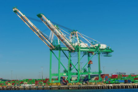 Photo for Port of Los Angeles, California, United States - February 7, 2023: Gantry cranes at Everport Terminal Services shown on a sunny afternoon. - Royalty Free Image