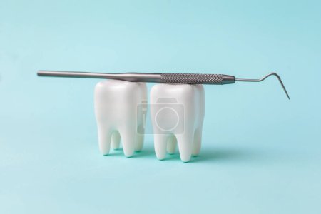 Zwei Modelle weißer Zähne auf blauem Hintergrund. Zahnsonde. Zahngesundheit Konzept. Mock up, kopieren Sie Platz für Text. Zahnmedizin. Platz für Text. Mundgesundheit und zahnärztliche Untersuchung. Zahnmedizin
