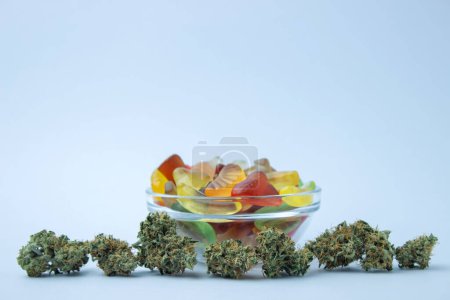 Foto de Los cogollos de cannabis secos yacen en una línea en primer plano, detrás de un pequeño tazón de vidrio de caramelos gomosos. Sobre un fondo azul pálido, un montón de espacio vacío - Imagen libre de derechos