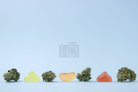 Foto de Los cogollos secos de cannabis medicinal están junto a las gomitas en forma de fruta. Sobre un fondo azul pálido, un montón de espacio vacío - Imagen libre de derechos