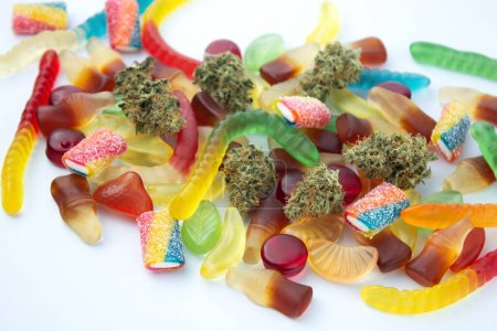 Dried medical marijuana buds lie among gummies of various shapes and flavors.  On a cold white background