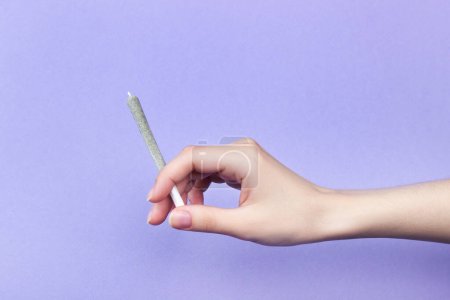 Die Hand einer Frau mit natürlichen Nägeln hält einen Joint mit medizinischem Marihuana auf hellviolettem Hintergrund. Kopierraum
