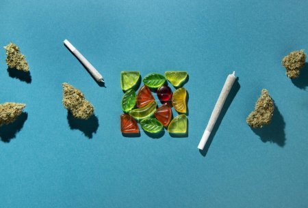 Foto de Los frutos gomosos se encuentran en una plaza en el centro, los brotes secos de marihuana medicinal y las articulaciones se encuentran a la derecha y a la izquierda. Tratamiento del cannabis, Sobre un fondo azul-verde, espacio de copia, flatlay - Imagen libre de derechos