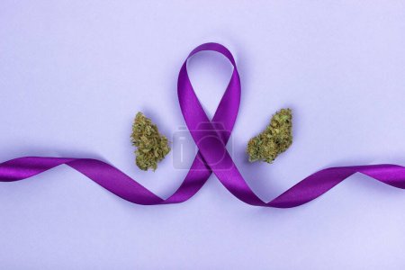 Foto de El símbolo del día de la epilepsia de una cinta púrpura, a lo largo de los bordes de la misma son brotes secos de marihuana medicinal. Sobre un fondo morado. Tratamientos alternativos para la epilepsia - Imagen libre de derechos