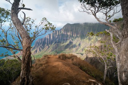 Téléchargez les photos : Na Pali Coast State Park sur Kauai, Hawaï. Photo de haute qualité. Belle toile de fond de montagne de Hawaï Na Pali littoral avec 1000 pieds falaises escarpées. - en image libre de droit