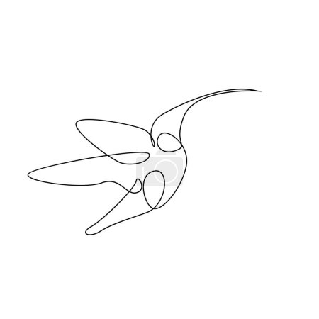 Téléchargez les illustrations : Modèle d'illustration de ligne colibri - en licence libre de droit