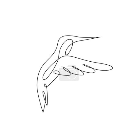 Illustration for Hummingbird line illustration template - Royalty Free Image
