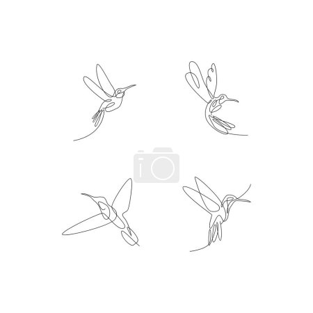 Téléchargez les illustrations : Modèle d'illustration de ligne colibri - en licence libre de droit