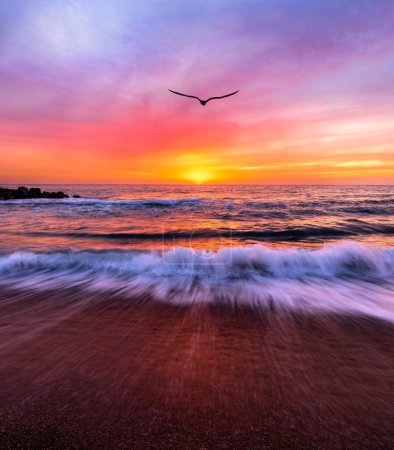 Téléchargez les photos : Ocean Landscape Sunset Is A Single Bird Flying Towards A Colorful Romantic Sky In Vertical Image Format - en image libre de droit