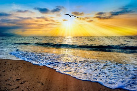 Téléchargez les photos : Coucher de soleil de paysage océanique avec des oiseaux volant vers un ciel romantique coloré - en image libre de droit
