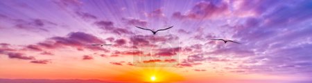 Téléchargez les photos : A Single Bird Silhouette Flying Towards The Colorful Cloudscape Sunset In Banner Image Format - en image libre de droit