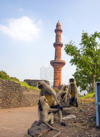 Téléchargez les photos : Chand Minar au fort Daulatabad dans le Maharashtra, en Inde. Il a été construit en 1435 par Ala-ud-din Bahmani pour célébrer son occupation du fort. - en image libre de droit