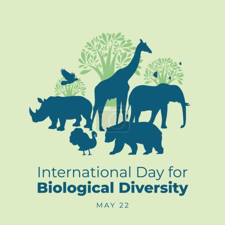 Vektorgrafik des Internationalen Tages der biologischen Vielfalt gut für den Internationalen Tag der biologischen Vielfalt. flache Bauweise. Flyer entwerfen, flache Abbildung.