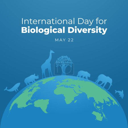 Vektorgrafik des Internationalen Tages der biologischen Vielfalt ideal für die Feier des Internationalen Tages der biologischen Vielfalt.