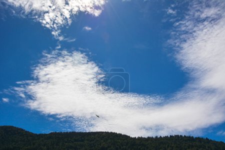 Photo for A bird flies over the trees above the hill in a bright blue sky with white clouds. A view from afar - Royalty Free Image
