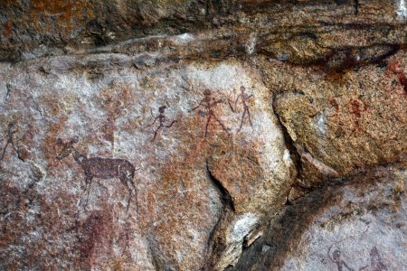 Rock drawings of ancient ancestors on stones. Animal hunting scenes. Art legacy of ancestors