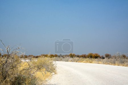 Eine breite Schotterstraße in der Wüste in der Perspektive unter dunklem Himmel. Tourismus und Reisen
