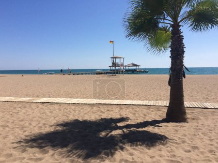 En la playa del mar hay una torre de salvavidas junto a una palmera solitaria en la arena que proyecta una sombra