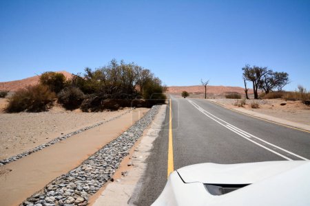 Blick aus einem Auto auf eine leere Asphaltstraße in der Wüste. Kleine Büsche wachsen an den Seiten