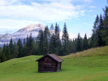 Picturesque landscape of the mountain slope in bright colors. In the foreground is an old wooden barn on the grass. Behind him is a forest and mountains
