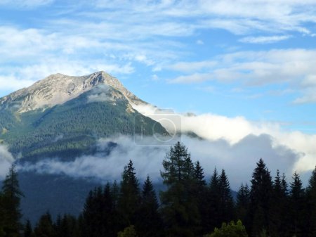 A picturesque view of a mountain rock overgrown with a green forest. Above them is a blue sky and white clouds. In the foreground is a row of dark trees