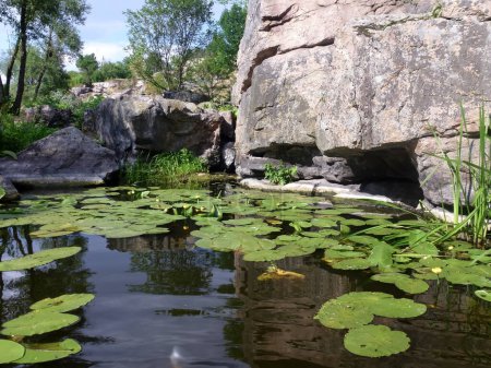 A small pond with lily leaves flows under the picturesque rocks. Natural bright summer landscape of beautiful places