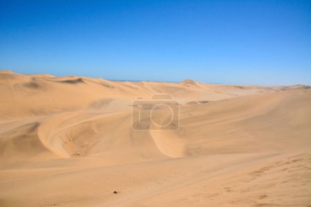 Vista de un desierto de arena seca y desierta hacia el horizonte bajo un cielo azul claro. Verano paisaje caliente