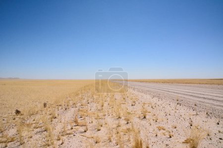Blick auf trockene Wüste mit trockenen kleinen Pflanzen und Feldweg in Perspektive zum Horizont unter blauem Himmel