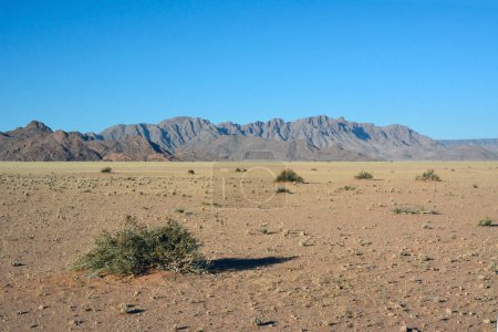 Hot desert landscape. Dry solitary bushes and sand are in the foreground. In the background are distant mountains under a clear blue sky