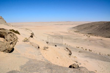 View of a dry deserted sandy desert to the horizon under a clear blue sky. Summer hot landscape